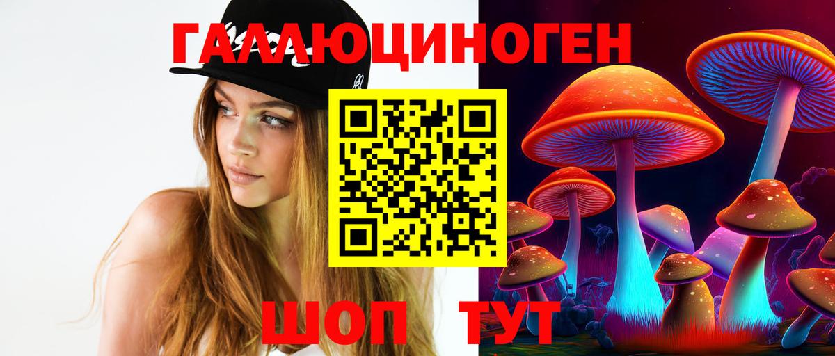Псилоцибиновые грибы прущие грибы Нижний Тагил